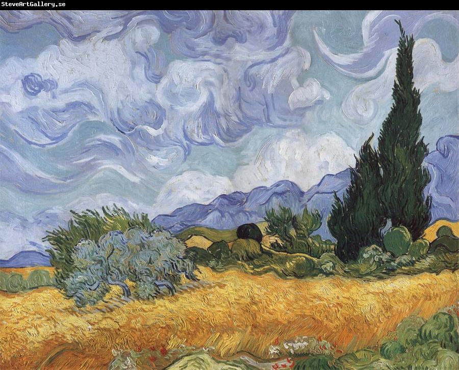 Vincent Van Gogh A Wheatfield,with Cypresses